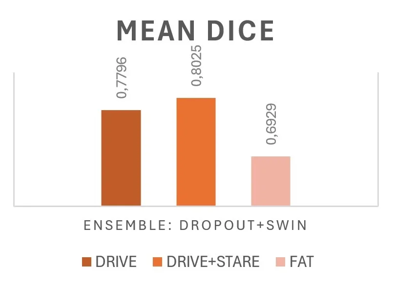 Mean Dice scores for the ensemble on DRIVE, DRIVE plus STARE, and FAT